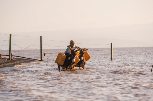 Solar Coffee Project #76 - Collecting Water From The Lake