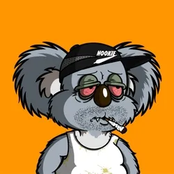Drop Bears Official collection image