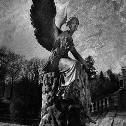 Gothic Guardian Angels collection image