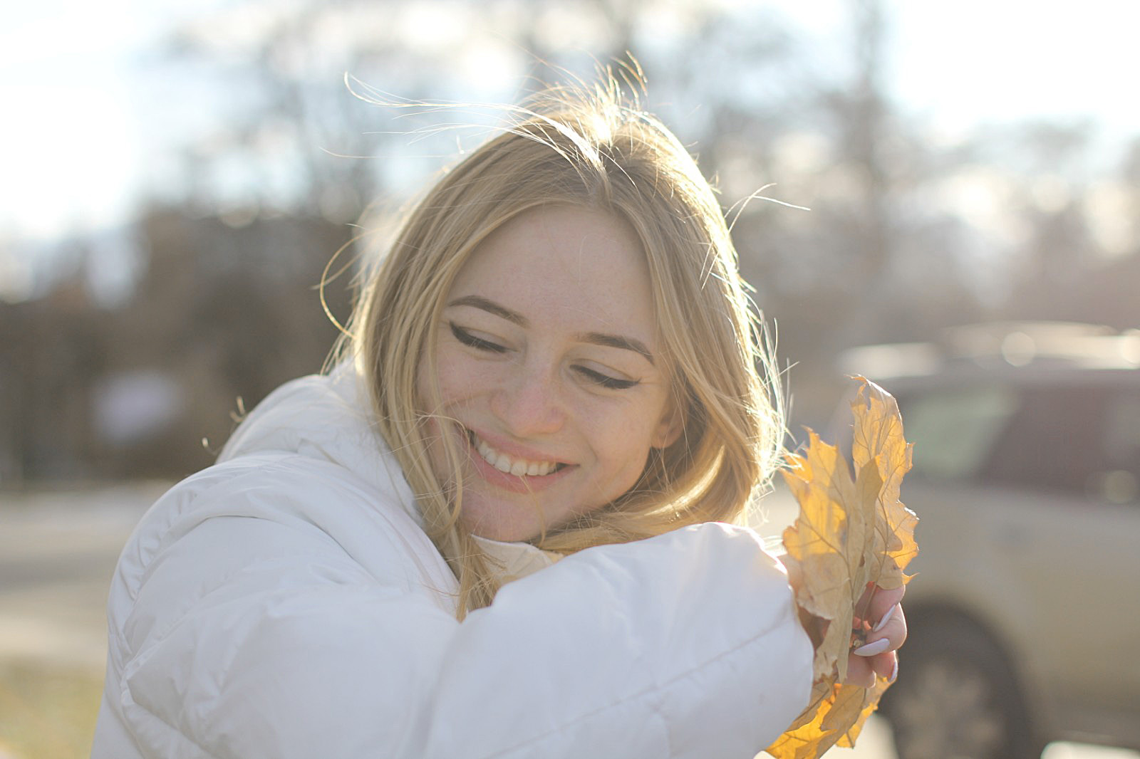 tonika - Perfil | OpenSea