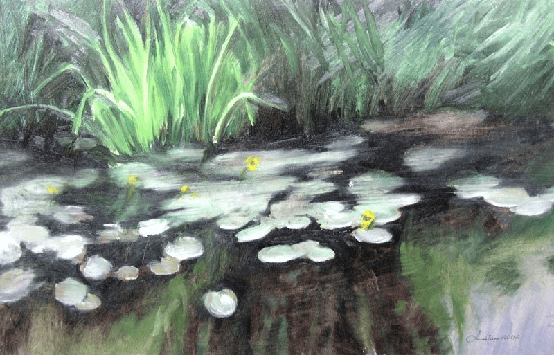 Yellow water lilies