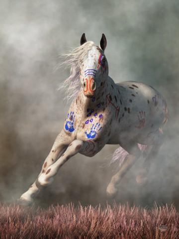 War Horses collection image
