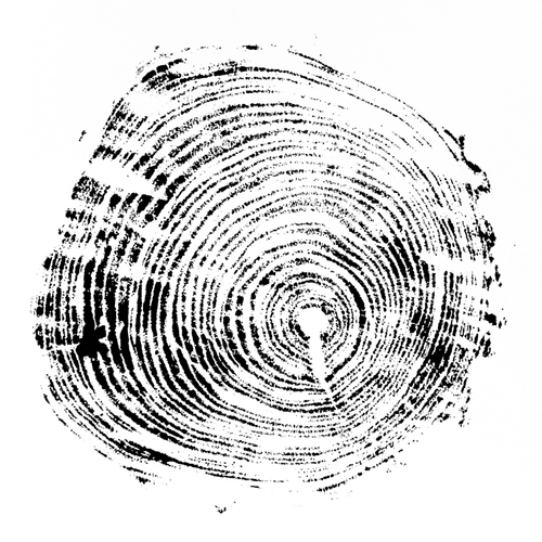 Transverse Rings