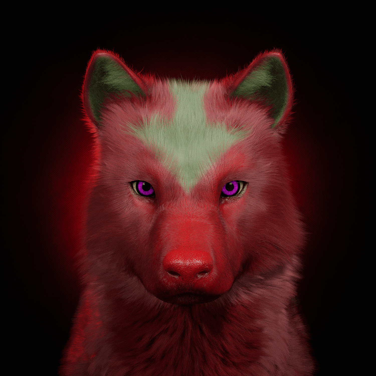 Wolf #570