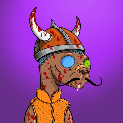 Crazy Sphynx Club