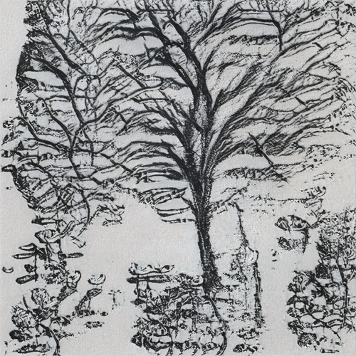 #1437 - Little Seeds Grow Forests