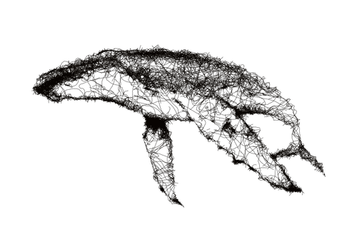 The Whale