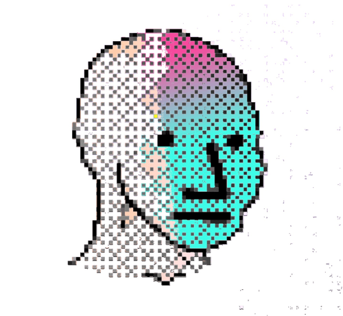 NPC #495