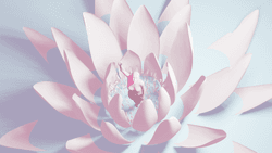 Lotus Girl collection image