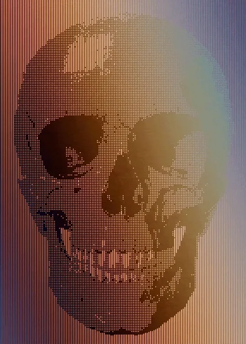 Memento Mori #356