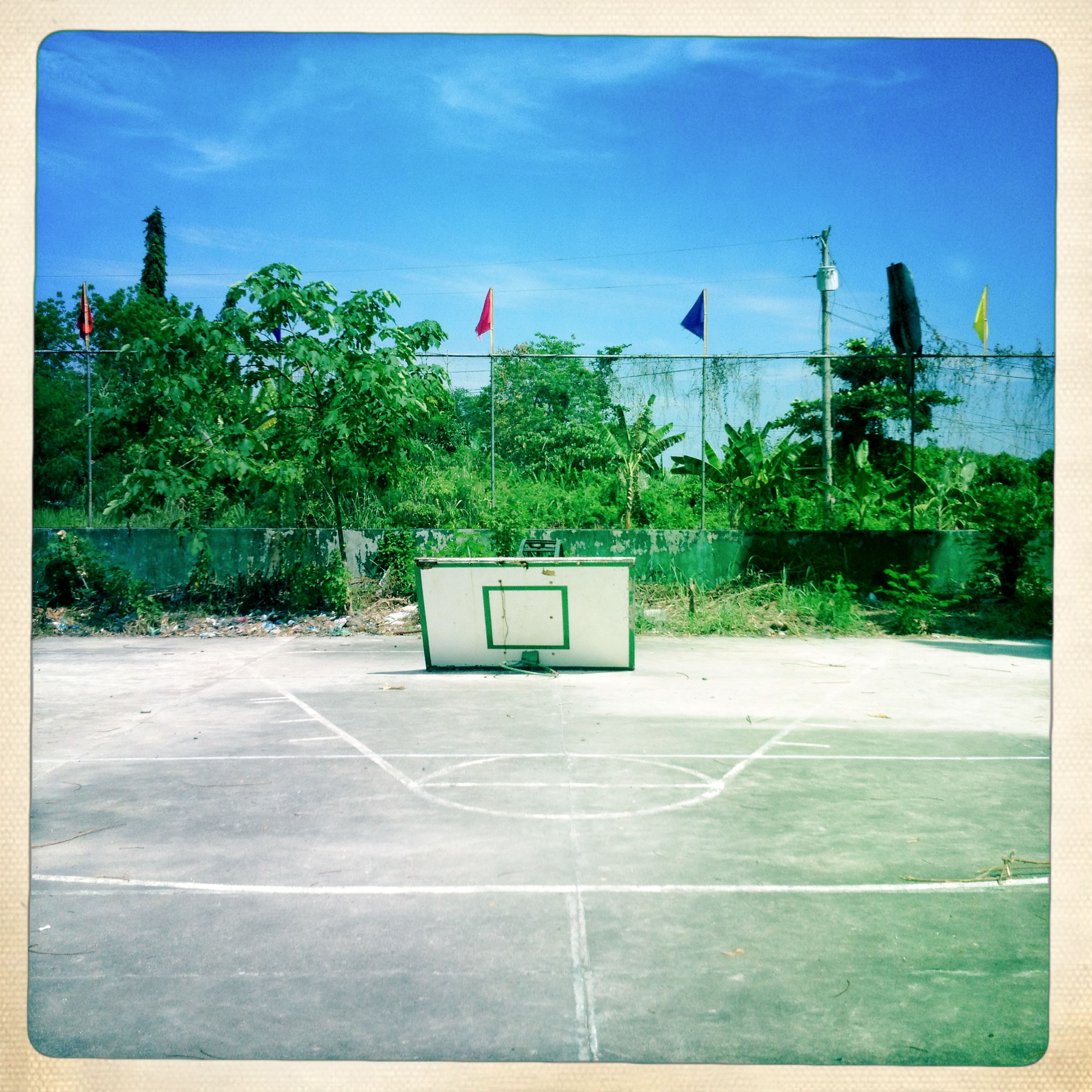 Basketball Landscape #8