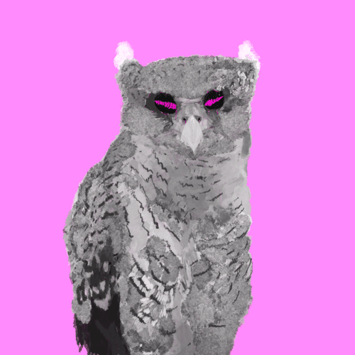 the Missing Owl #011