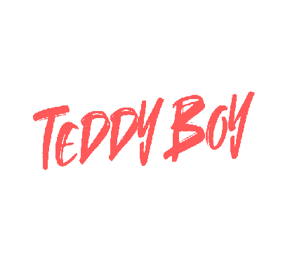 TeddyBoy