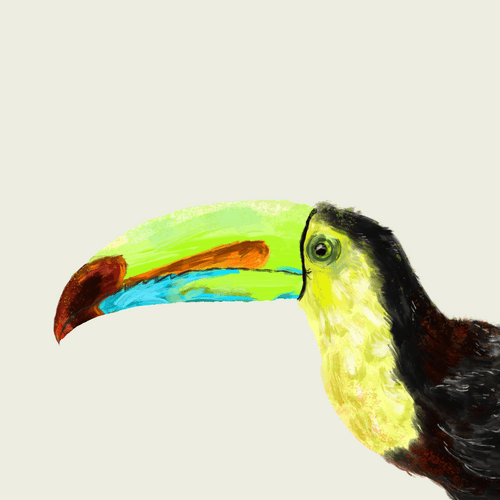 Toucan Sam