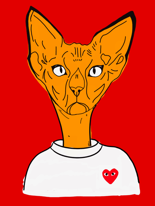 comme des gato, Designer Sphynx #3