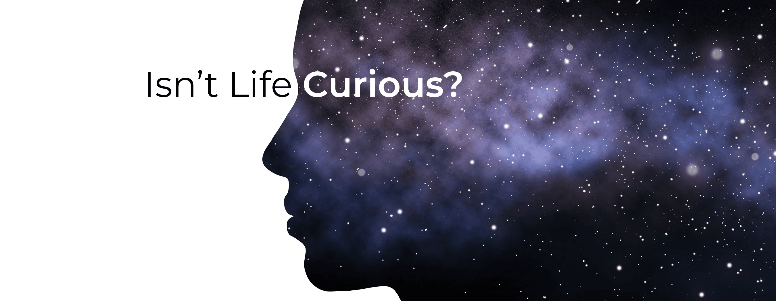 Isn't Life Curious?