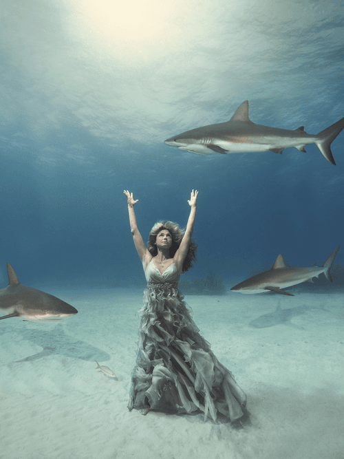 Ocean lady