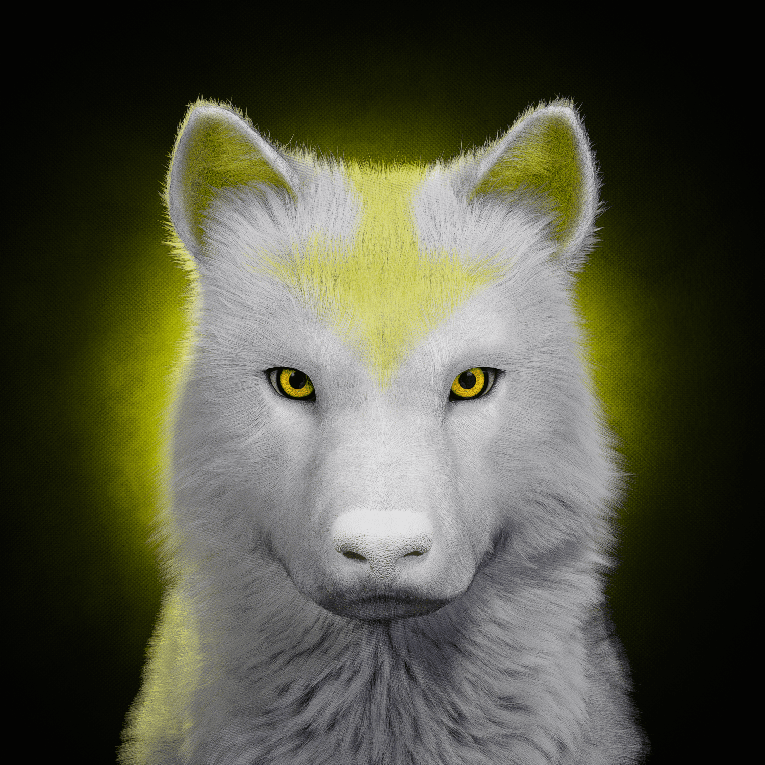 Wolf #1913