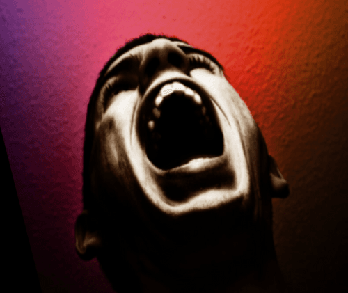 The Reclaimed Stolen Scream Collection