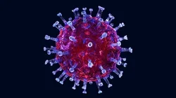 Virology art collection image