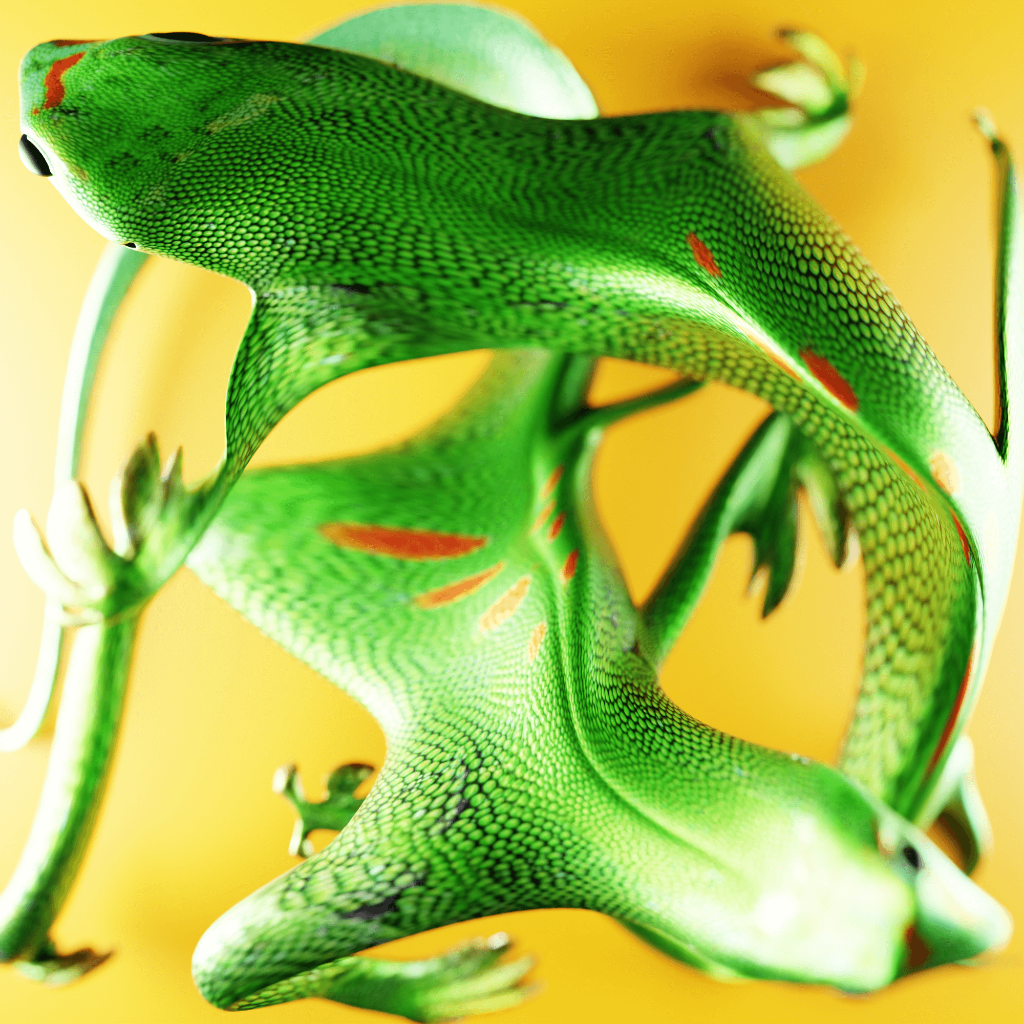 CoinGecko x Sven Eberwein - Two Deformed Geckos
