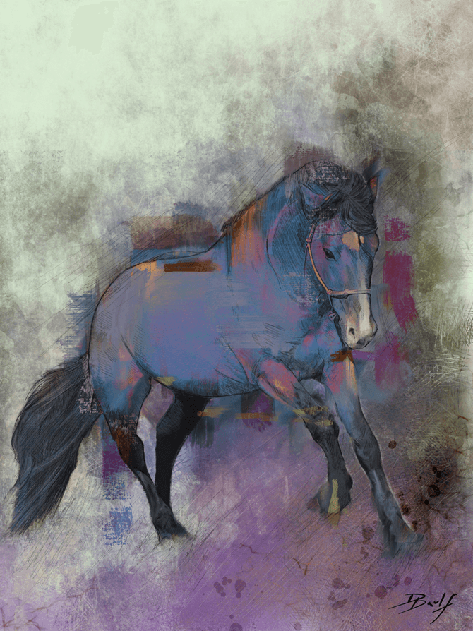 Horses Equestrian Colours