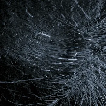 Sound Paintings