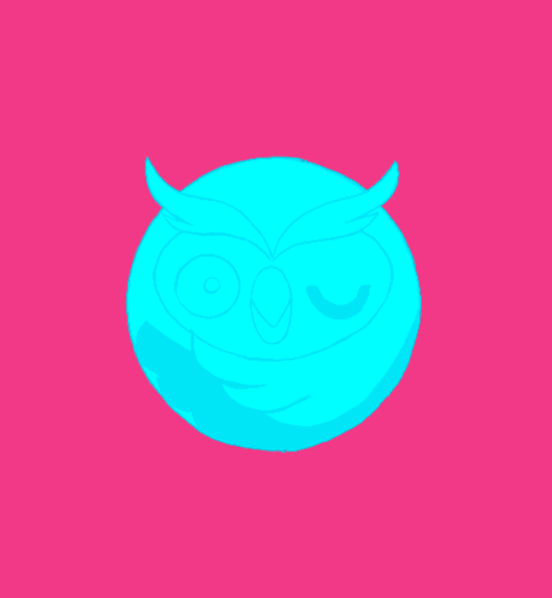 Owly u projek