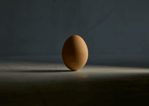 The Egg