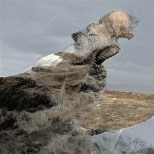 Old Man Yelling At the Wind