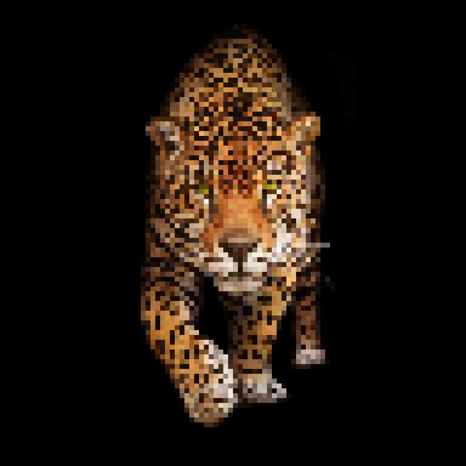 Tiger Pixel Art V2 - Collection | OpenSea