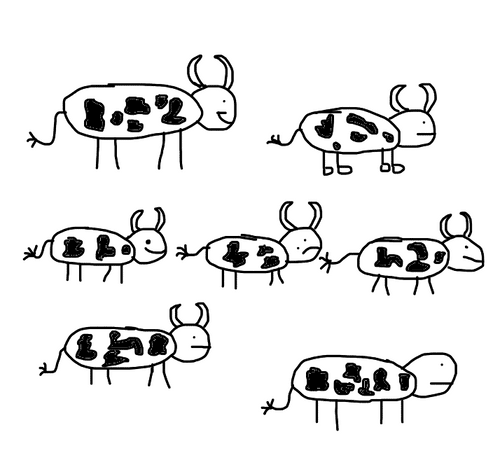 Its seven cows