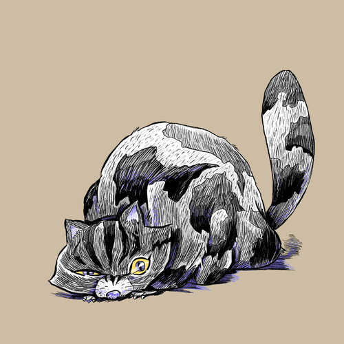Stone Cat