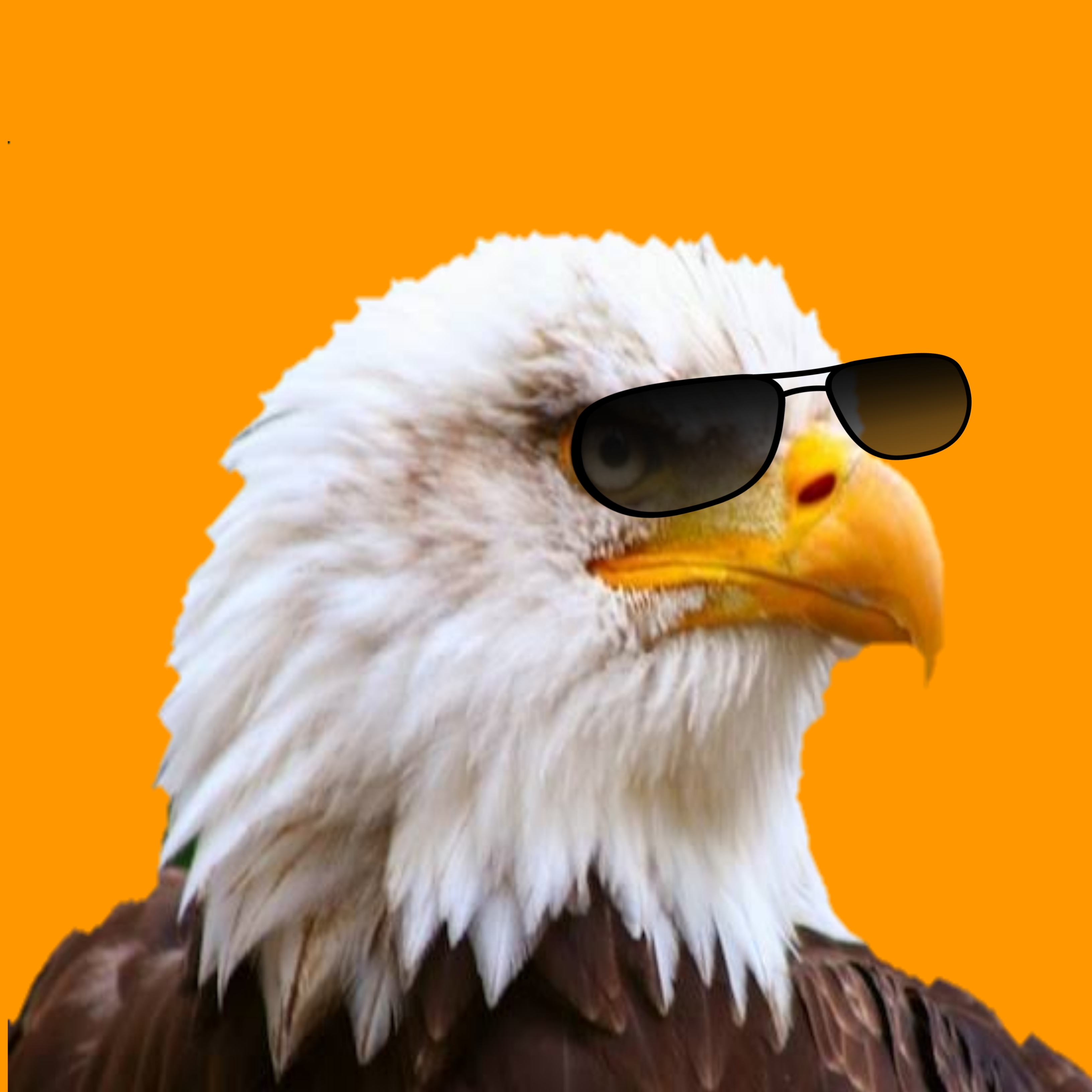 cool eagle