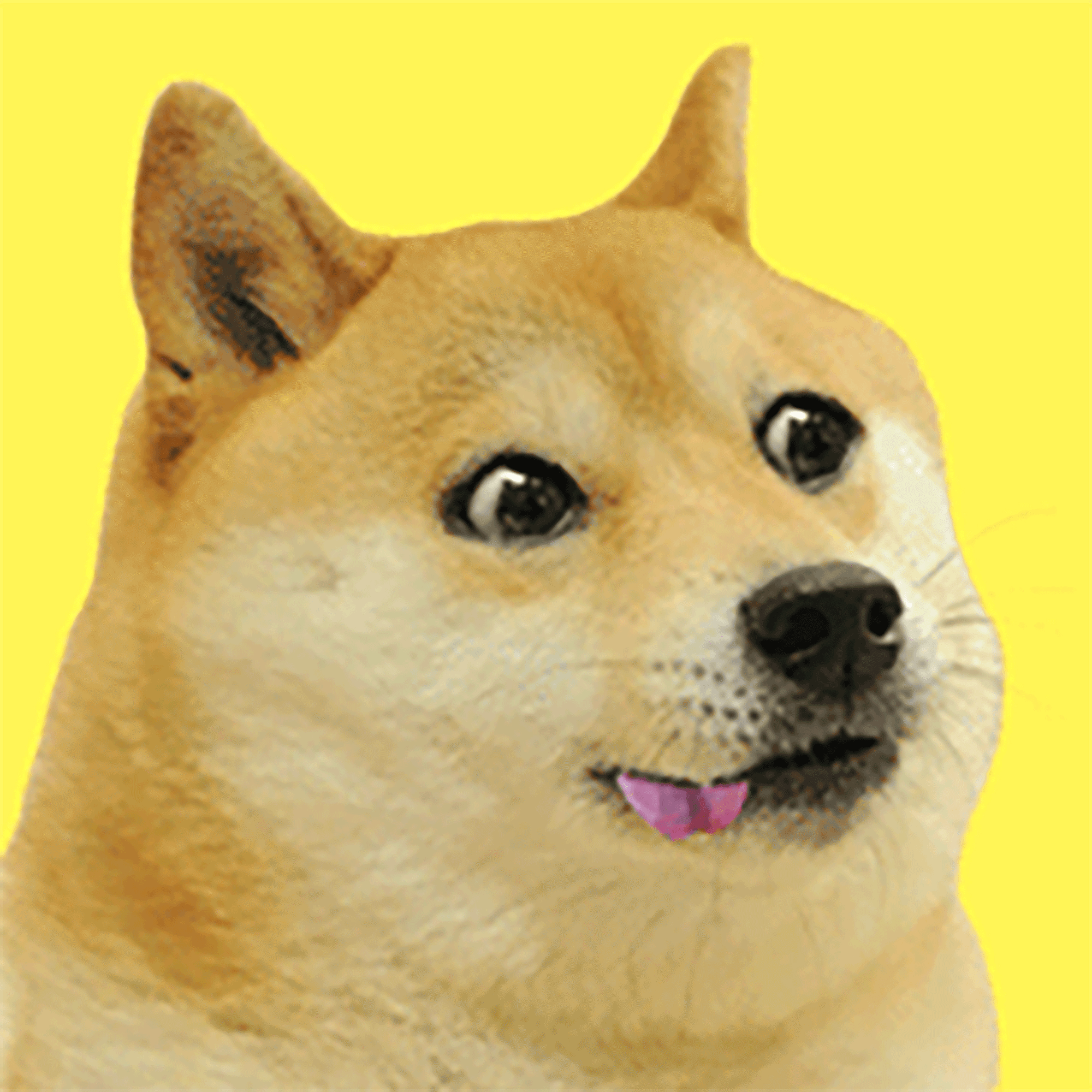 Doge2048 - Derp - 1024 Points Tile - Doge2048 | OpenSea