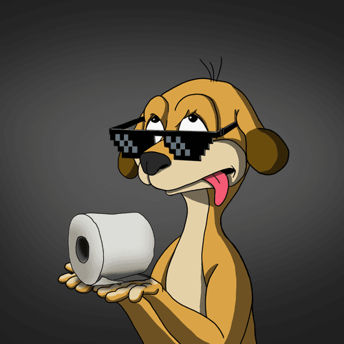 Fool Meerkats