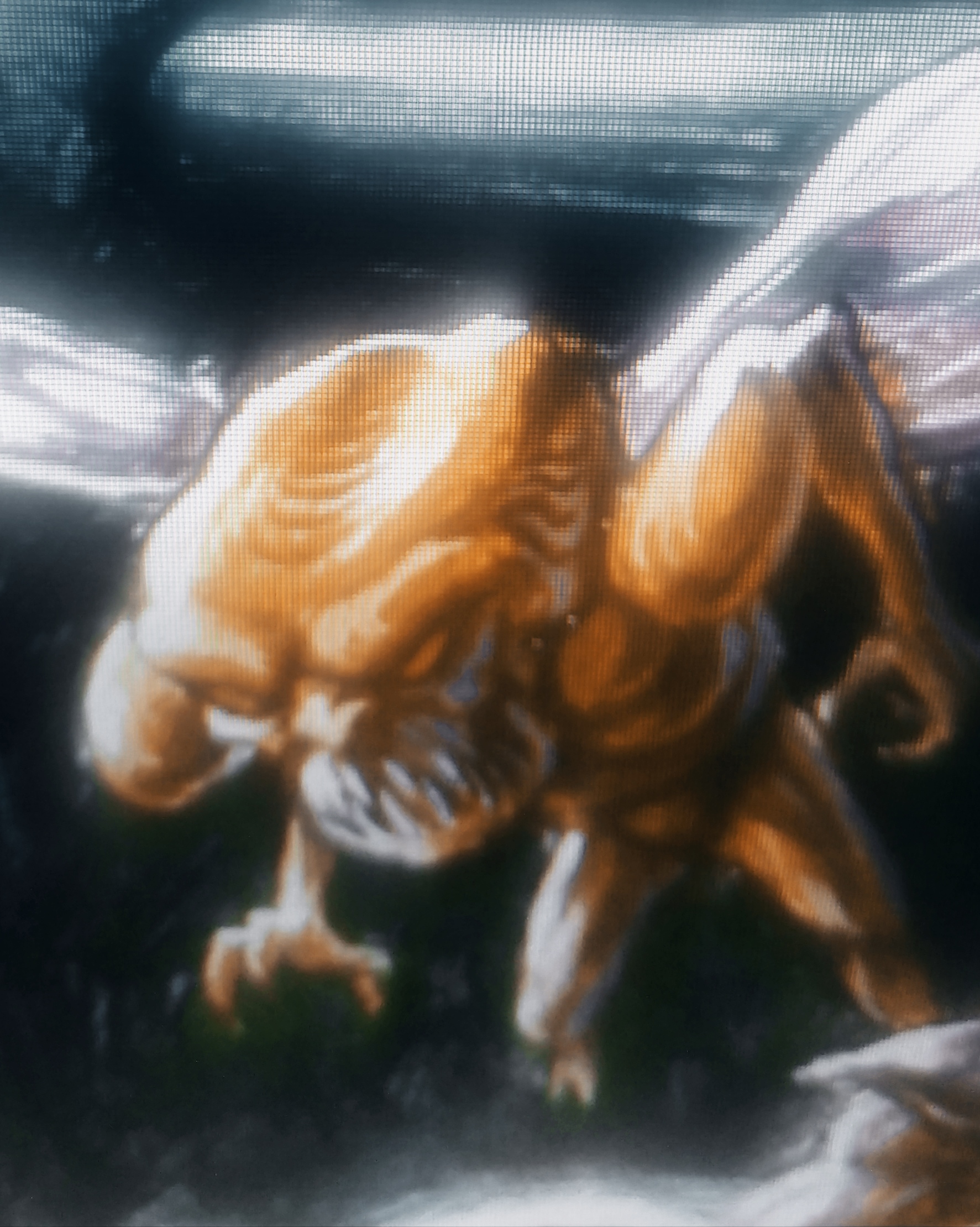 army of the dead vs volatile arachnid