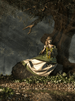 The Enchanted  Forest collection image