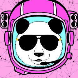 Interstellar Travellerz: Pete the Panda collection image