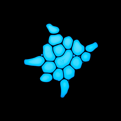 Haematopoiesis #194