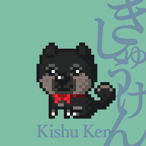 Kishu Ken #006 黒 puppy