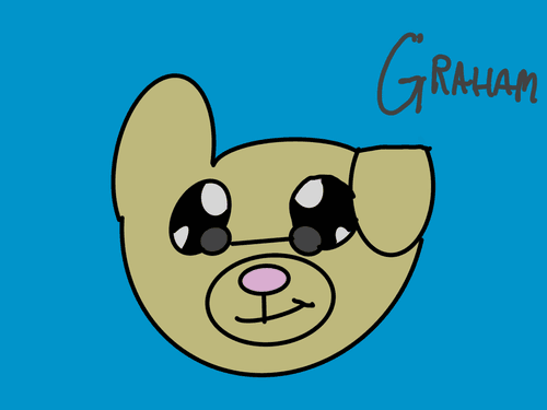 Graham - #13 Kool Pup