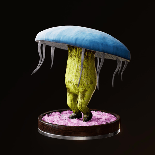 Fungi #904