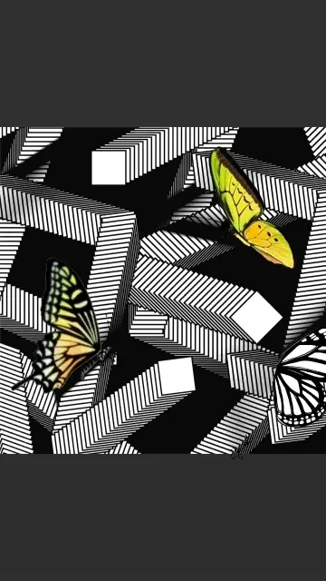 Butterflies in the Jungle Maze