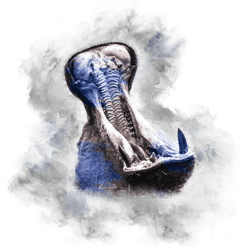 BLUE SERIES - HIPPO