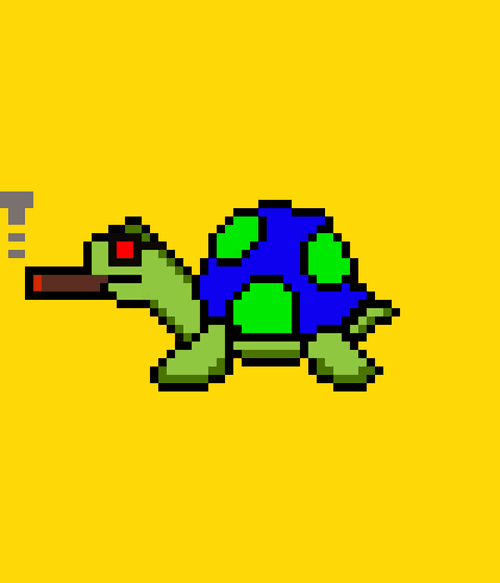 Tiny Turtle #25