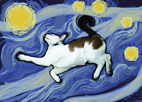 cat art club