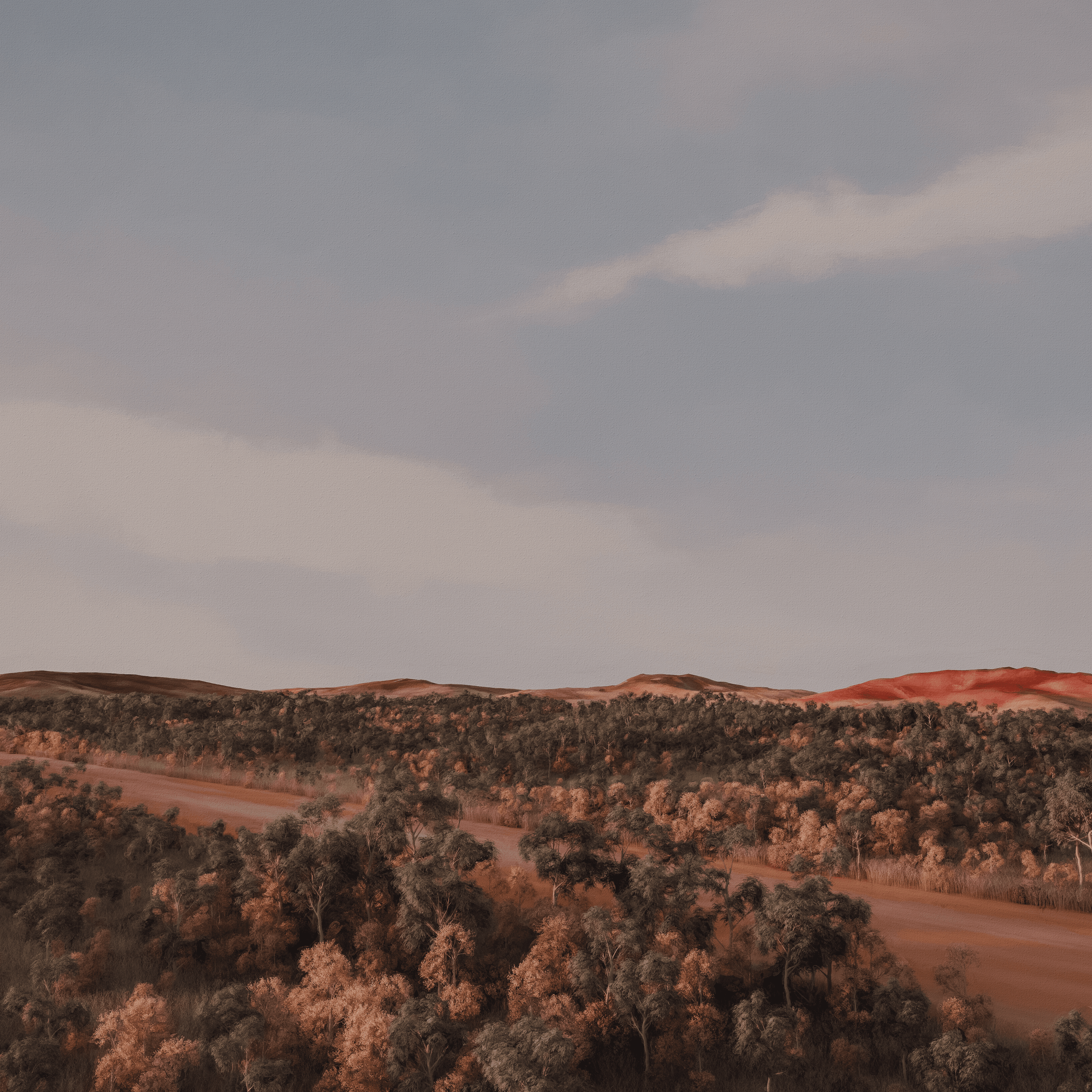 the red centre #40/80