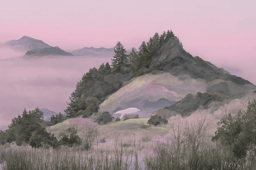Mount Tamalpais