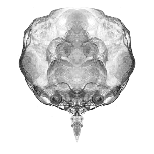 Alien Embryo - 138 of 2000